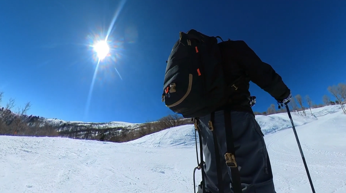 Great for Work, Travel, and Everything In Between